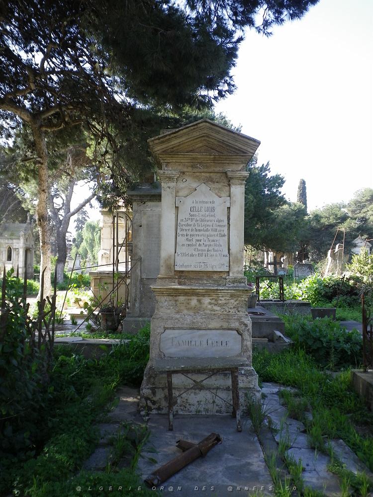CIMETIERE DE TAMAZOUHET D ORAN EN MARS 2012  (83).JPG